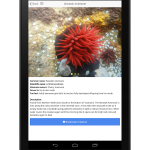 NSW Marine Life mobile app thumbnail