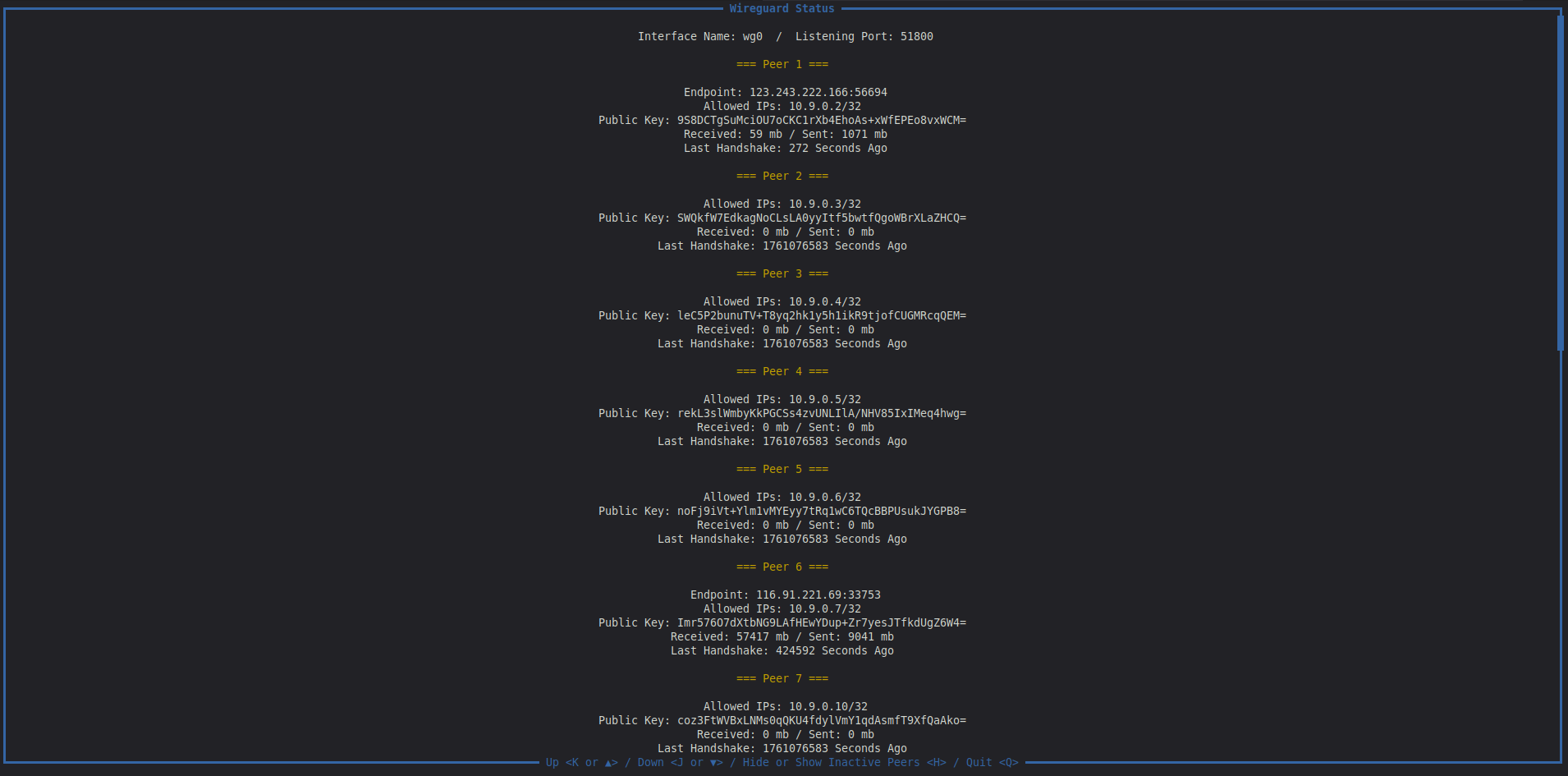 WireGuard Monitor interface showing all known peers and their transfer rates.